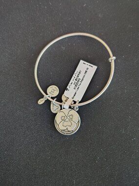 NWT Alex and Ani Stepmom Silver Bangle Bracelet  #834